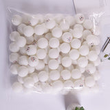 100pcs Professional Table Tennis Ball