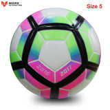 Professional Soccer Ball