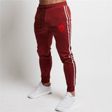 Tracksuits Men Sets