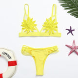 Women Swimsuit  Push up